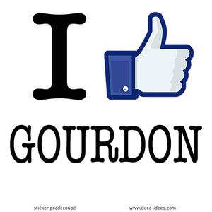 Sticker I LIKE GOURDON