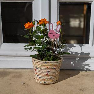 Rosier et son cache-pot - Fleurs de balcon, jardin - Le Jardin des Fleurs